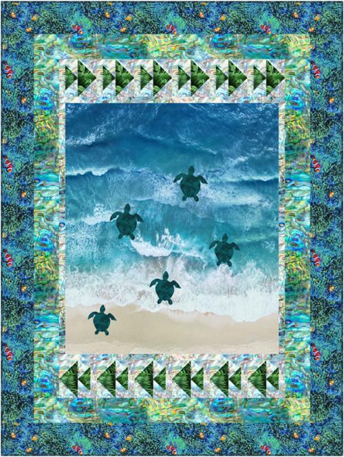 Turtles to the Ocean by 